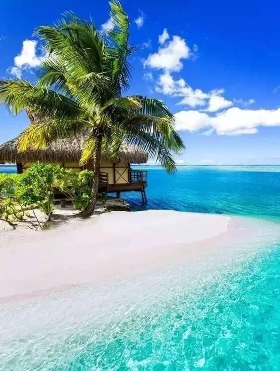 浦东金桥2涨停